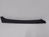 (A) pillar trim