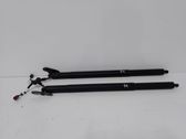 Tailgate/trunk strut/damper