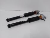 Rear shock absorber/damper