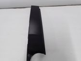 Rear door glass trim molding