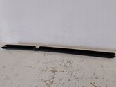 Rear door glass trim molding
