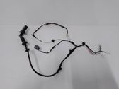 Rear door wiring loom