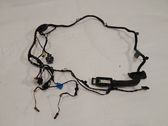 Rear door wiring loom