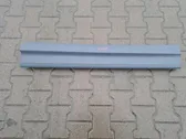 Front door trim (molding)