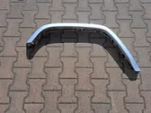 Fender trim (molding)