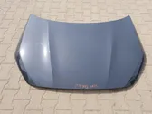 Engine bonnet/hood