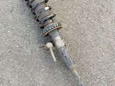 Front shock absorber/damper