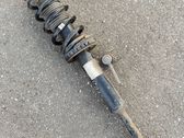 Front shock absorber/damper