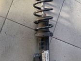 Rear shock absorber with coil spring