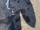 Engine coolant pipe/hose