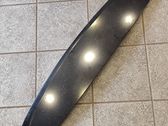 Tailgate/trunk spoiler