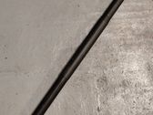 Tailgate/trunk strut/damper