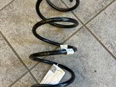 Front coil spring