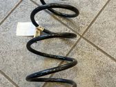 Front coil spring