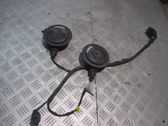 Horn signal