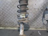 Front shock absorber/damper