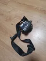 Sicherheitsgurt hinten