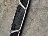 Front bumper upper radiator grill