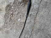 Front wiper blade arm