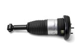 Amortizor pneumatic spate