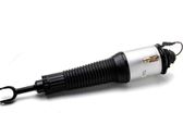Amortisseur airmatic de suspension pneumatique avant