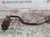 Sonde lambda