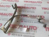 Regulador de puerta trasera con motor