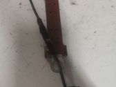 Antenos stiprintuvas