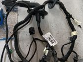 Cableado de puerta delantera