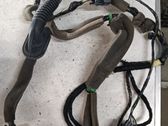 Cableado de puerta delantera