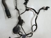 Cableado de puerta trasera
