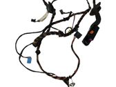 Front door wiring loom