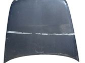 Engine bonnet/hood