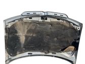 Motorhaube