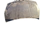 Motorhaube
