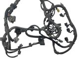 Engine installation wiring loom