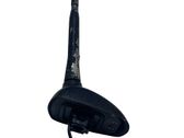 Radion antenni