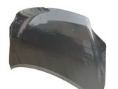 Engine bonnet/hood