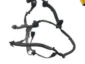 Rear door cable line
