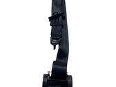 Rear seatbelt