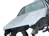 Motorhaube