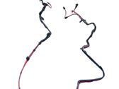 Positive wiring loom