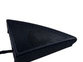 Enceinte haute fréquence de porte avant
