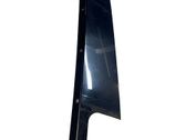 Other rear door trim element