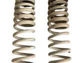 Rear coil spring