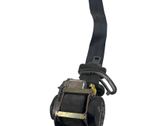 Rear seatbelt