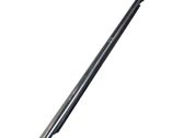 Rear door glass trim molding