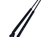 Rear window strut damper