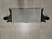 Radiador intercooler