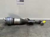 Front shock absorber/damper